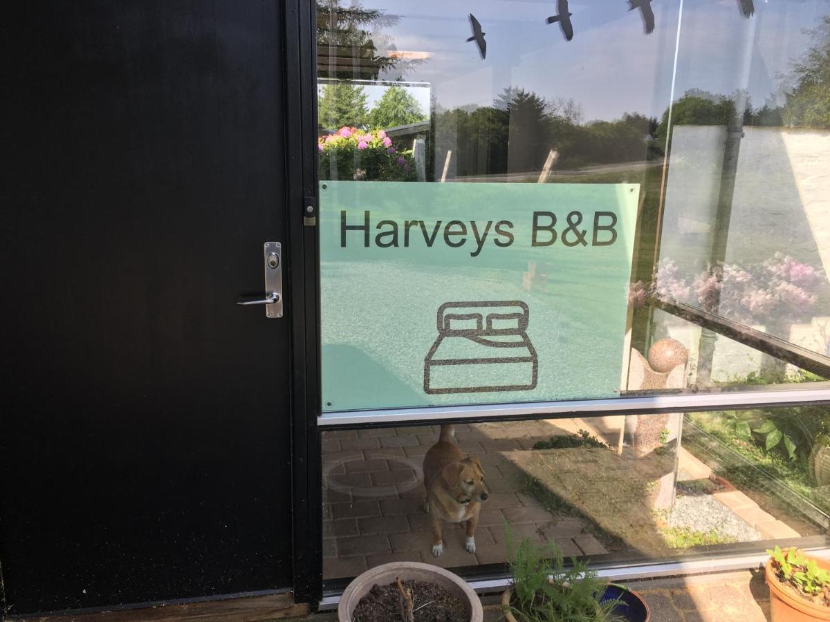 Harvey'S Bed & Breakfast Hjørring Exteriör bild